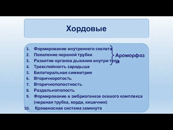 Формирование внутреннего скелета Появление нервной трубки Развитие органов дыхания внутри