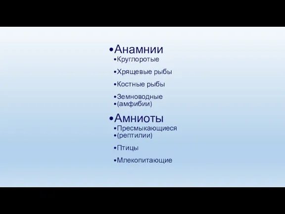 Анамнии Круглоротые Хрящевые рыбы Костные рыбы Земноводные (амфибии) Амниоты Пресмыкающиеся (рептилии) Птицы Млекопитающие