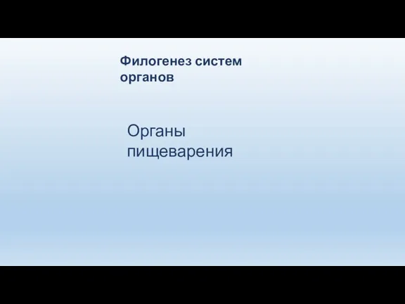 Филогенез систем органов Органы пищеварения