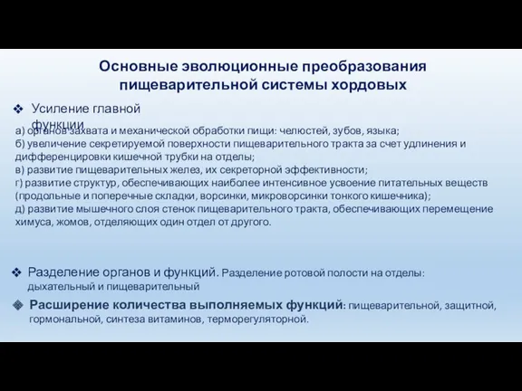 Усиление главной функции а) органов захвата и механической обработки пищи: