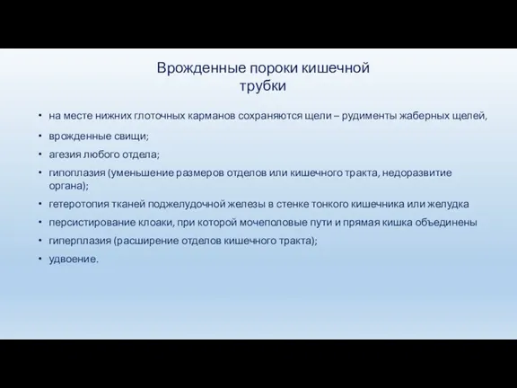 на месте нижних глоточных карманов сохраняются щели – рудименты жаберных