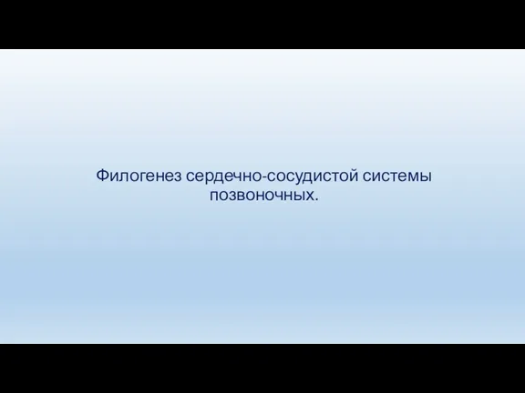 Филогенез сердечно-сосудистой системы позвоночных.