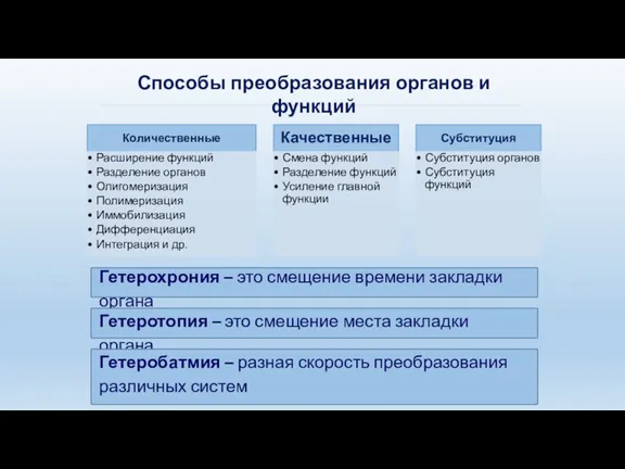 Способы преобразования органов и функций Гетерохрония – это смещение времени