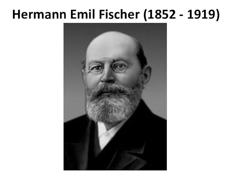 Hermann Emil Fischer (1852 - 1919)