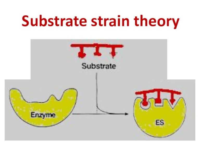 Substrate strain theory