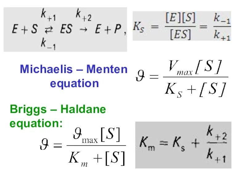 Michaelis – Menten equation Briggs – Haldane equation: