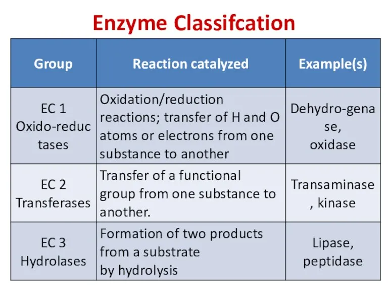 Enzyme Classifcation