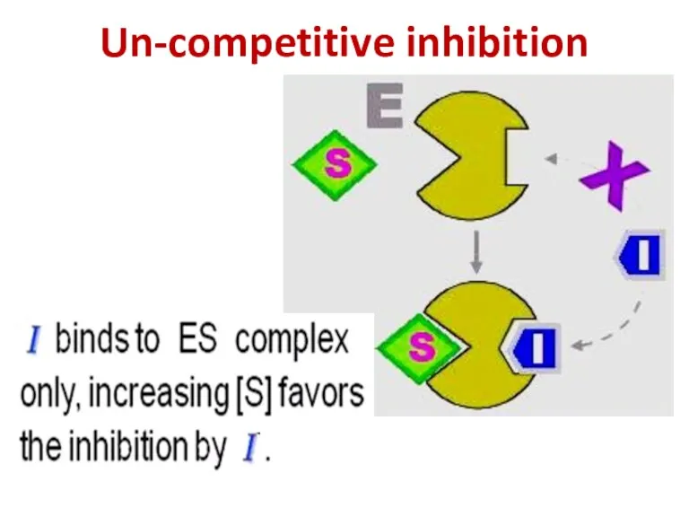 Un-competitive inhibition