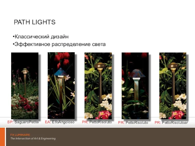 PATH LIGHTS Классический дизайн Эффективное распределение света SP: SaguaroPetite EA: