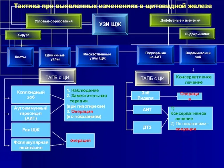 Тактика при выявленных изменениях в щитовидной железе Аутоиммунный тиреоидит (АИТ)