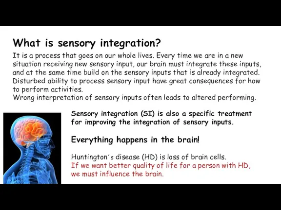 What is sensory integration? It is a process that goes