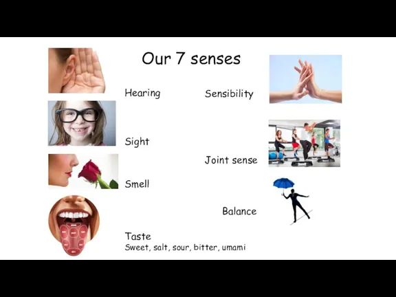 Our 7 senses Hearing Sight Smell Taste Sweet, salt, sour, bitter, umami Sensibility Joint sense Balance