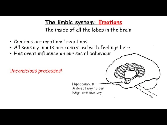 The limbic system: Emotions The inside of all the lobes