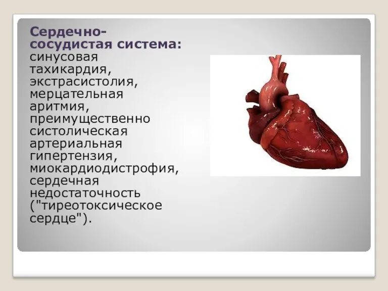 Сердечно-сосудистая система: синусовая тахикардия, экстрасистолия, мерцательная аритмия, преимущественно систолическая артериальная гипертензия, миокардиодистрофия, сердечная недостаточность ("тиреотоксическое сердце").
