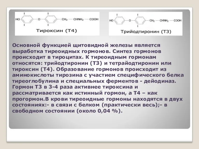 Основной функцией щитовидной железы является выработка тиреоидных гормонов. Синтез гормонов