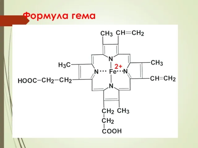 Формула гема 2+ … …