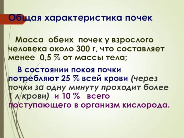 Общая характеристика почек Масса обеих почек у взрослого человека около