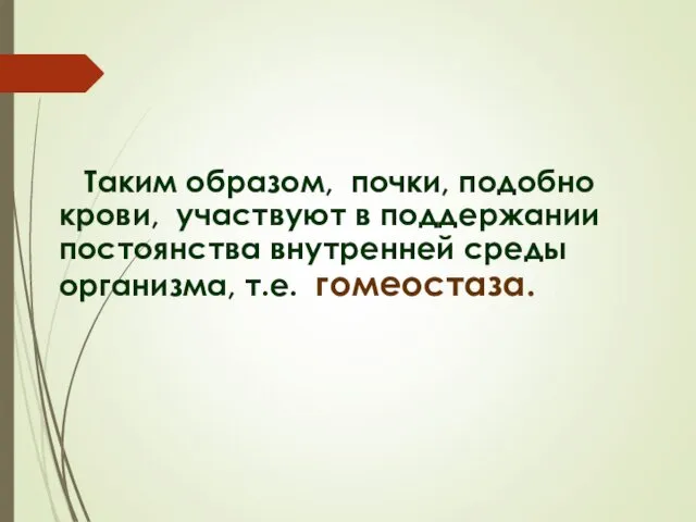 Таким образом, почки, подобно крови, участвуют в поддержании постоянства внутренней среды организма, т.е. гомеостаза.