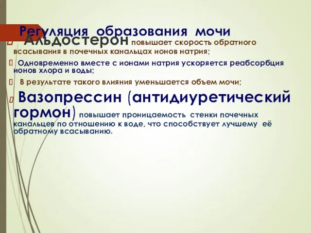 Регуляция образования мочи Альдостерон повышает скорость обратного всасывания в почечных