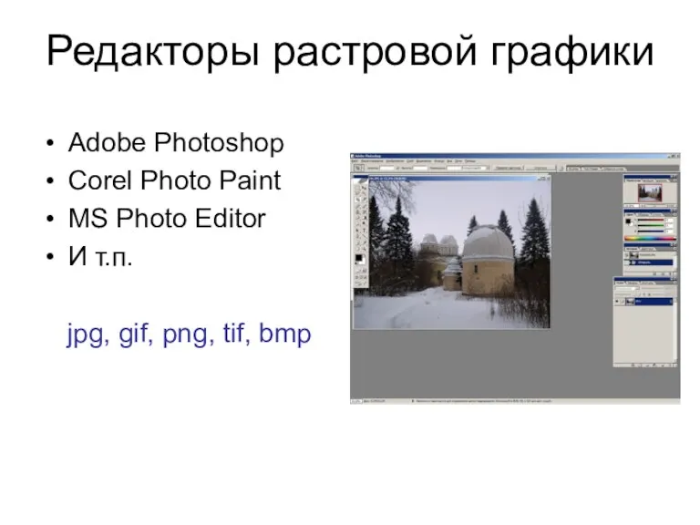 Редакторы растровой графики Adobe Photoshop Corel Photo Paint MS Photo