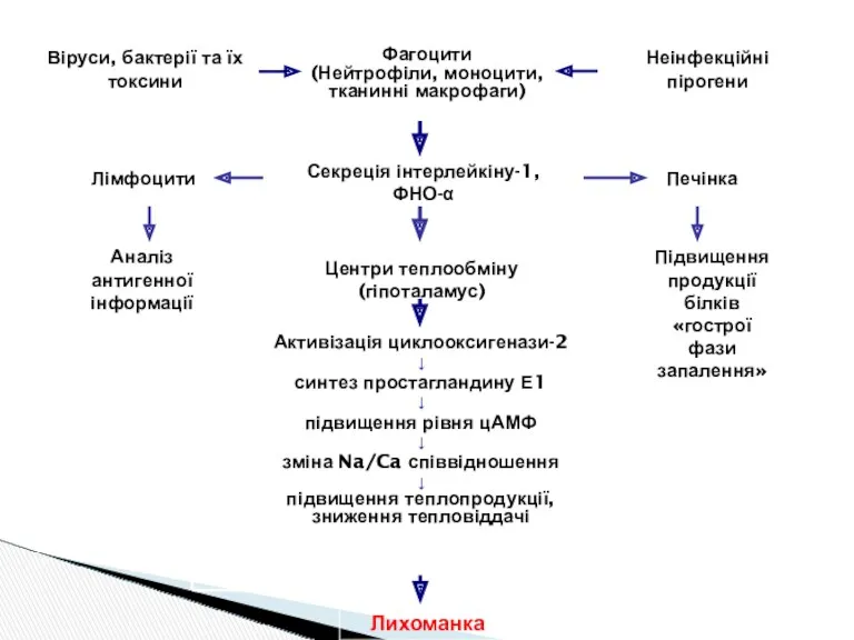 Віруси, бактерії та їх токсини Неінфекційні пірогени Фагоцити (Нейтрофіли, моноцити,