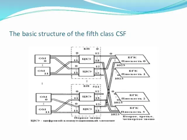 The basic structure of the fifth class CSF