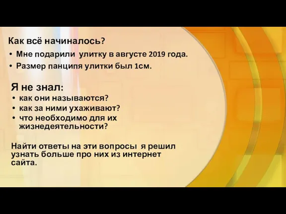 Как всё начиналось? Мне подарили улитку в августе 2019 года. Размер панципя улитки