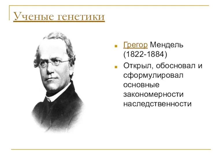 Ученые генетики Грегор Мендель (1822-1884) Открыл, обосновал и сформулировал основные закономерности наследственности