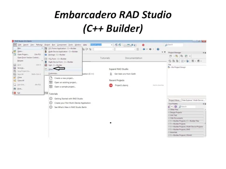 Embarcadero RAD Studio (C++ Builder)