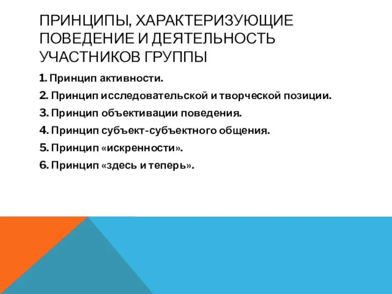 ПРИНЦИПЫ, ХАРАКТЕРИЗУЮЩИЕ ПОВЕДЕНИЕ И ДЕЯТЕЛЬНОСТЬ УЧАСТНИКОВ ГРУППЫ 1. Принцип активности.