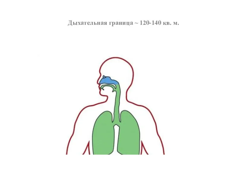 Дыхательная граница ~ 120-140 кв. м.