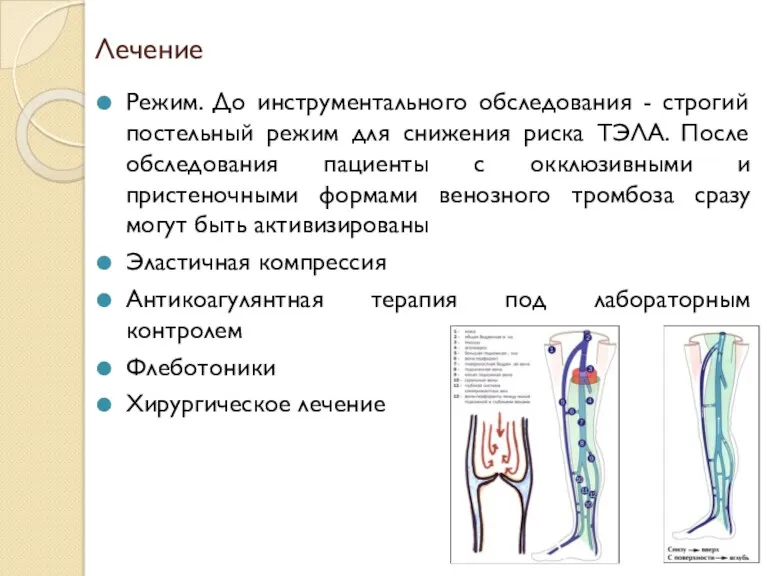 Лечение Режим. До инструментального обследования - строгий постельный режим для снижения риска ТЭЛА.