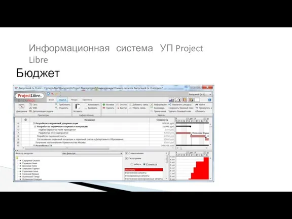Бюджет проекта Информационная система УП Project Libre