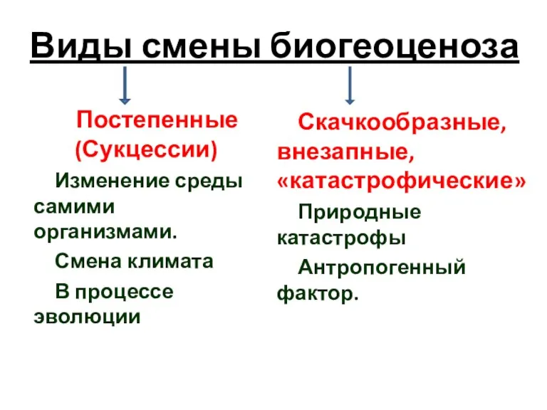 Виды смены биогеоценоза Постепенные (Сукцессии) Изменение среды самими организмами. Смена