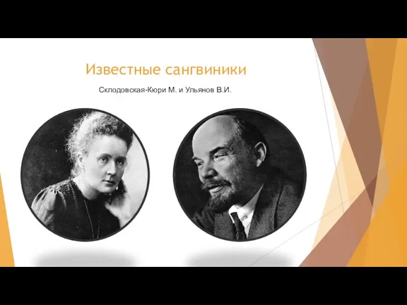 Известные сангвиники Склодовская-Кюри М. и Ульянов В.И.