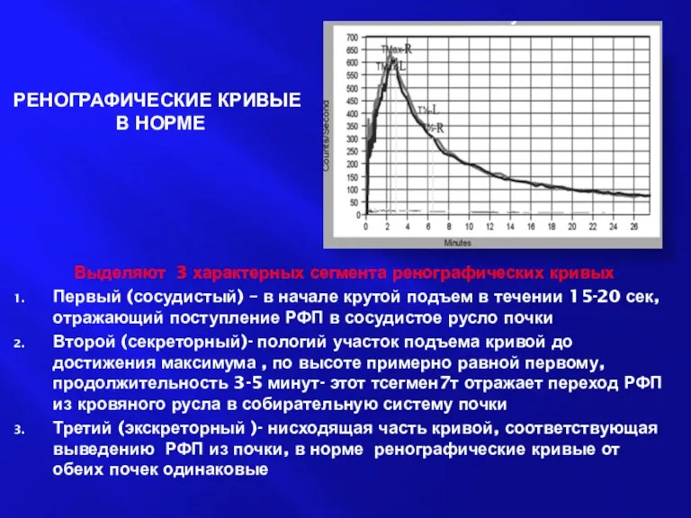 РЕНОГРАФИЧЕСКИЕ КРИВЫЕ В НОРМЕ Выделяют 3 характерных сегмента ренографических кривых