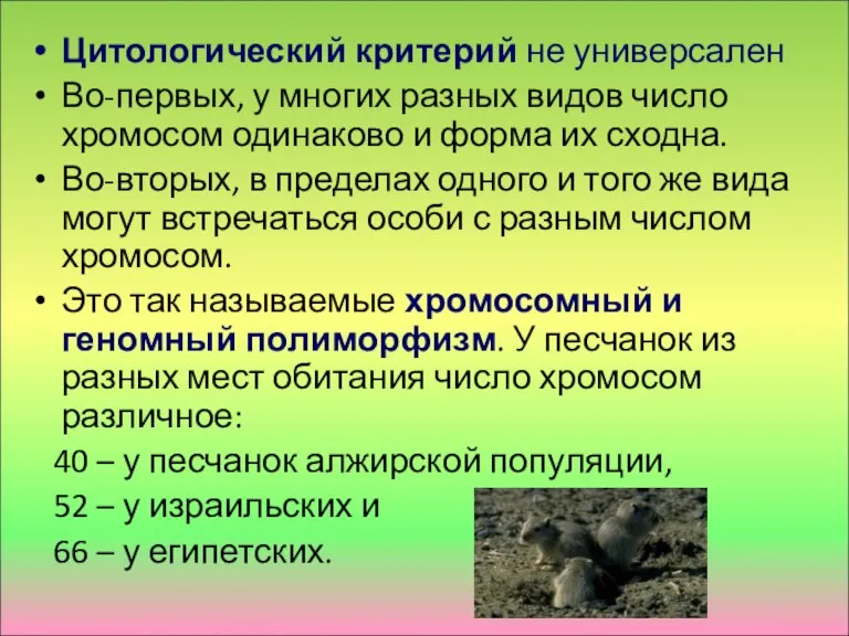 Цитологический критерий не универсален Во-первых, у многих разных видов число