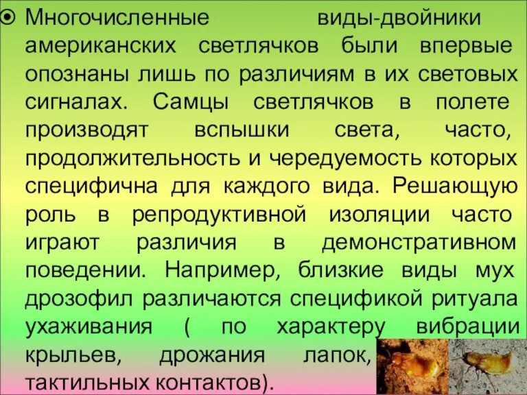 Многочисленные виды-двойники американских светлячков были впервые опознаны лишь по различиям