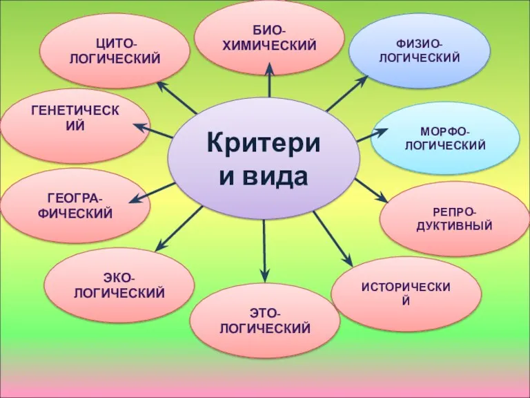 МОРФО-ЛОГИЧЕСКИЙ ФИЗИО-ЛОГИЧЕСКИЙ БИО-ХИМИЧЕСКИЙ ЦИТО-ЛОГИЧЕСКИЙ ГЕНЕТИЧЕСКИЙ ГЕОГРА-ФИЧЕСКИЙ ЭКО-ЛОГИЧЕСКИЙ ЭТО-ЛОГИЧЕСКИЙ ИСТОРИЧЕСКИЙ РЕПРО-ДУКТИВНЫЙ Критерии вида