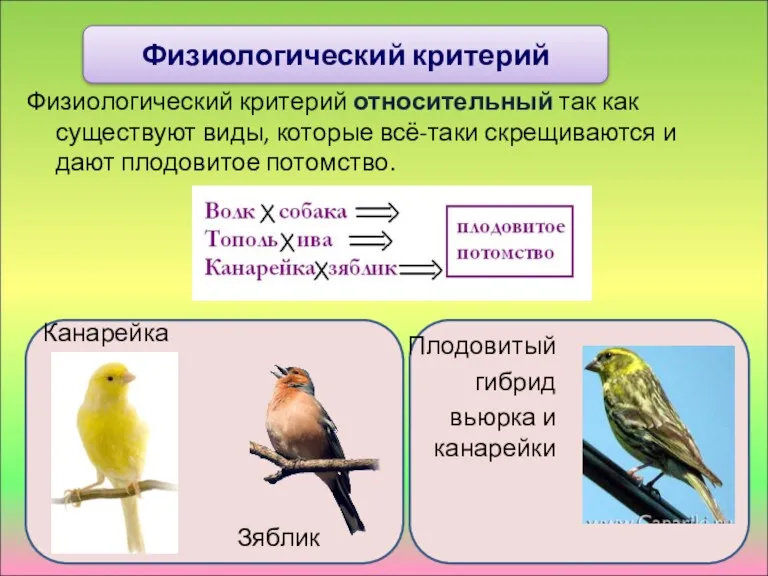 Физиологический критерий относительный так как существуют виды, которые всё-таки скрещиваются