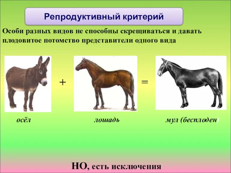Особи разных видов не способны скрещиваться и давать плодовитое потомство