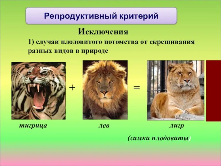 Исключения 1) случаи плодовитого потомства от скрещивания разных видов в