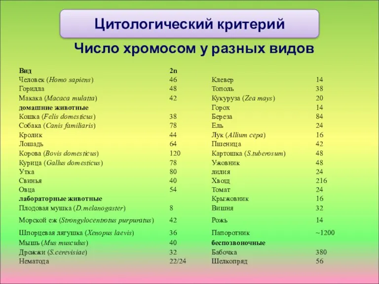 Число хромосом у разных видов Цитологический критерий