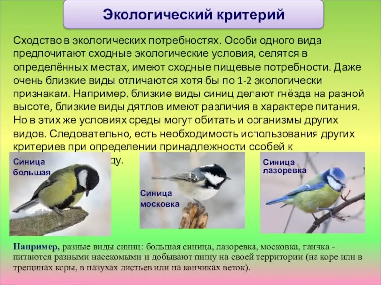 Сходство в экологических потребностях. Особи одного вида предпочитают сходные экологические