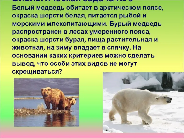 Биологическая задача № 3 Белый медведь обитает в арктическом поясе,