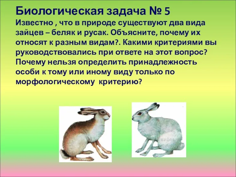 Биологическая задача № 5 Известно , что в природе существуют