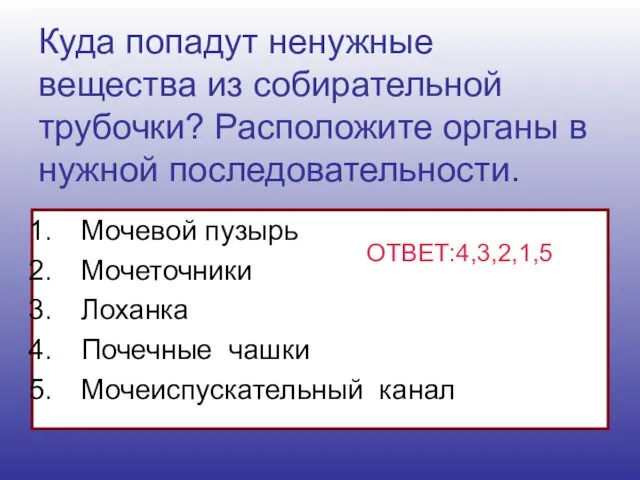 Куда попадут ненужные вещества из собирательной трубочки? Расположите органы в