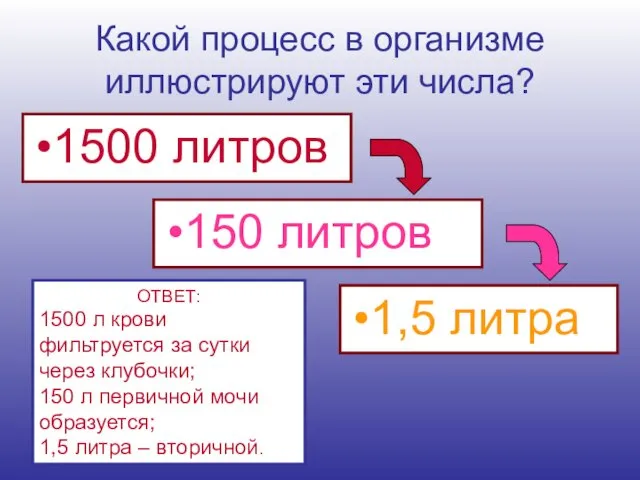 Какой процесс в организме иллюстрируют эти числа? 1500 литров 150