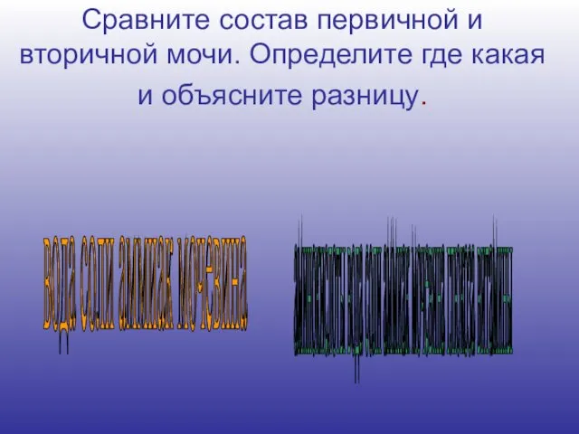 аминокислоты вода соли аммиак мочевина глюкоза витамины вода соли аммиак