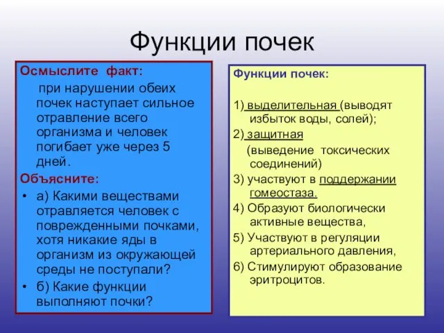 Функции почек Осмыслите факт: при нарушении обеих почек наступает сильное